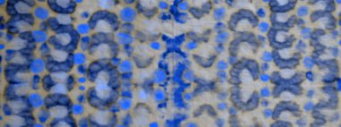 Mavi kravat boyası. Kova boyası. Sanatsal Kirli Kanva. Parlak Kova Fırçası. Soyut Graffiti Tarzı. Fırçalanmış malzeme. Çivit fırçası boyası. Grafik Boyalı.