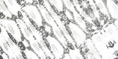 Gri Boyalı Sanat Batik. Beyaz Yaşlılık Gradyan Arkaplanı. Buz Sanatsal Toprak. Geleneksel Buz Tarzı. Kış Fırçası Kağıdı. Işıltılı Grunge Arkaplanı. Gri Monokrom Posteri. Siyah Soyut Kova.