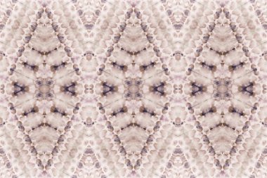 Tone boyalı kumaş mürekkebi. Çamur Renkli Boyalı. Rose Folk Petrol Fırçası. Kahverengi Etnik Süs. Toprak Kirli Sanat Kanvası. Pastel Kahverengi Halk Yağı Mürekkebi. Sepia Pembe Süslü fayans. Taupe Suluboya Boyası