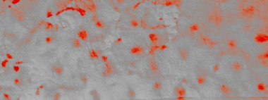 Ölüm Sanatsal Bağlama Boyası. Aquarelle Boya Fırçası. Kirli Sanatlar Boyası. Cadılar Bayramı suluboya baskısı. Gri Kaba Sanat Yazıcısı. Fırçalanmış kağıt. Dişlerimi fırçaladım. Graffiti Biçimi. 