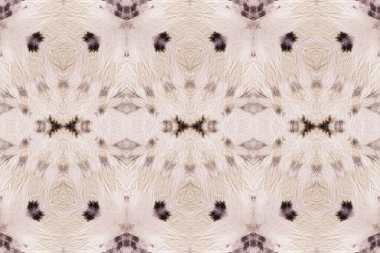 Gri kravat boyası Grunge. Kırsal Gri Fırça Şablonu. Krem Gül Gradyan Döşemesi. Beyaz Gradyan Motifi. Pembe Gradyan Kanvası. Dusty Graffiti Style. Toprak Fırçalı Kağıt. Kahverengi Suluboya Yazdırma