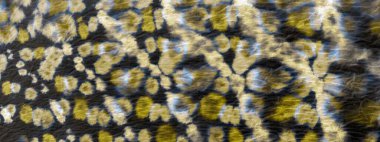 Altın Sanatsal Kravat Boyası. Suluboya mürekkep. Kirli Arkaplan. Altın suluboya baskı. Kırsal Grafik Boyalı. Altın fırça boyası. Sunny Fırça Kağıdı. Sarı Graffiti Biçimi.