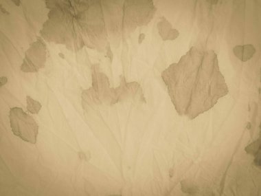 Krem rengi kağıt dokusu. Yeşil suluboya fırça. Krep Beyaz Soluk Vignette Banner. Bej rengi, eski püskü bir tuval. Sıcak Rustik tuval. Gri Krem Tasarım. Kahverengi Vintage Kağıt Arkaplanı.