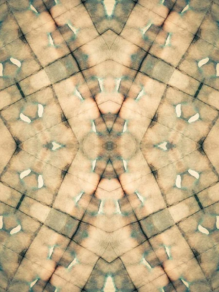 グレイ エスニック モチーフ 部族のアクエラレのテクスチャ 粉砕されたブラシ素材 ホワイト エフェクト グラウンジ 伝統芸術を伝承する フォークオイルブラシ — ストック写真