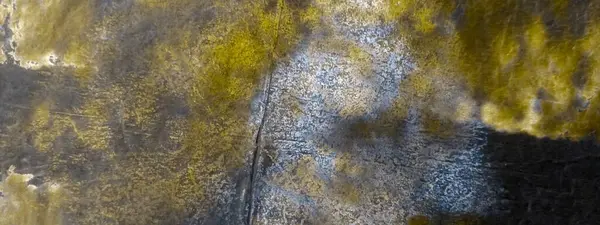 Light Tie Dye Batik. Suluboya boya. Kirli Sanat Ressamlığı. Siyah suluboya baskı. Kaba kaba sanat baskısı. Altın Yağ Mürekkebi. Parlayan Yağlı Fırça. Siyah Graffiti Grunge.