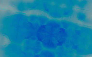 Mavi kravat boyalı batik. Kova boyası. Kirli Sanatlar Pankartı. Yaz suluboya mürekkebi. Beyaz Graffiti Tarzı. Okyanus Fırçalı Kağıt. Gökyüzü Fırçalı Doku. Grunge Kaba Sanat Yazıcısı. 