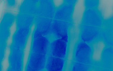 Cloud Tie Boya İzi. Aquarelle Boya Fırçası. Kirli Sanatlar Tarzı. Aqua Aquarelle Boyası. Gökyüzü Grafik Boyalı. Parlak Yağlı Fırça. Mavi Yağlı Fırça. Kar Grafiti Grunge. 