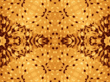 Sarı Etnik Motif. Boya desenli kravat. Altın Soyut Suluboya. Bokeh Suluboya Mürekkebi. Parlayan Fırça Malzemeleri. Kahverengi Grafik Boyalı. Çay fırçası boyası. Zemin Kirli Sanat Biçimi.