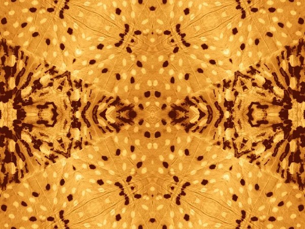 黄色い民族モチーフ 死のパターンを結ぶ 金の抽象水彩 墨色水墨 光沢のあるブラシ素材 ブラウン グラフィック ティーブラシペイント グラウンドダーティアートスタイル — ストック写真
