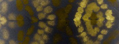 Lüks kravat boyası baskısı. Aquarelle Boya Fırçası. Kirli Sanatlar Boyası. Sarı suluboya mürekkep. Güneşli Grafik Boyalı. Altın fırçalı kumaş. Güneşli Fırçalı Doku. Gri Graffiti Biçimi.