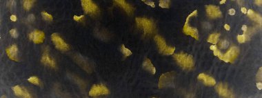 Sarı kravat boyama sanatı. Kova boyası. Kirli Sanat Ressamlığı. Sarı Kova deseni. Rustik Graffiti Tarzı. Siyah Fırçalı İpek. Parlayan Yağlı Fırça. Altın Graffiti Tarzı.