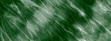 Siyah kravat boyası Grunge. Aquarelle Boya Fırçası. Sanatsal Kirli Kanva. Doğal suluboya boya fırçası. Klasik Rough Art Print. Yeşil Yağ Fırçası. Eko Fırçalı İpek. Beyaz Graffiti Biçimi. 