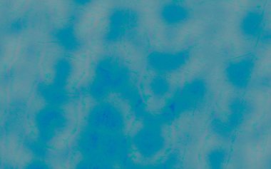 Sunny Tie Boya Sanatı. Suluboya Baskı. Kirli Arkaplan. Yaz suluboya boya fırçası. Mavi Graffiti Grunge. Cam Fırçalı Kağıt. Sunny Fırça Malzemeleri. Glass Geleneksel Boyalı.