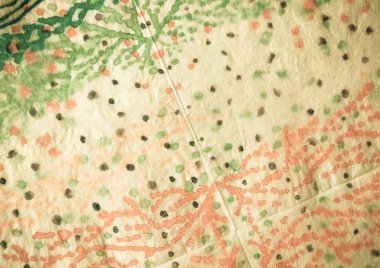 Sarı kravat boyalı Grunge. Suluboya boya fırçası. Kirli Sanatlar Tarzı. Pastel Suluboya Baskı. Klasik Geleneksel Boyalı. Yağ mürekkebi. Klasik Fırçalanmış İpek. Bej Geleneksel Boyalı.