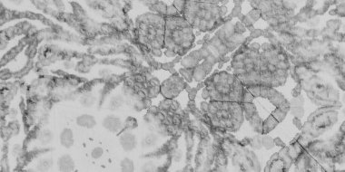 Siyah Buruşuk Tasarım. Yaşlanmış Kova dokusu. Soluk Kirli Sanat Efekti. Gri Grafik Boyalı. Beyaz lekeli mürekkep dokusu. Eski Kumaş Tasarımı. Kirli Suluboya. Antik Yıkanmış Kravat Boyası.