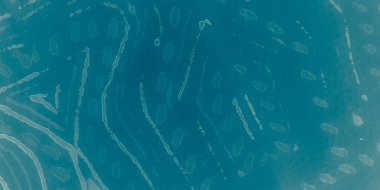 Mavi kravat boyası. Gökyüzü boyası. Dalgacık Mürekkebi. Okyanus sıçraması. Soyut Su Parıltısı. Parlak Şablon. Beyaz Yumuşak Suluboya. Beyaz Deniz Modeli. Parıltı Yaz. Teal Parlak Işık. Mavi Parlak Suluboya.