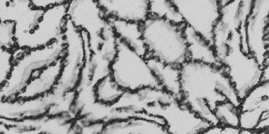 Siyah Buruşuk Kağıt. Halk Kova Dokusunu. Gri Kirli Suluboya. Wall Folk Sanat Tarzı. Beyaz Retro Mürekkep Fırçası. Soluk Zanaat Kitabı. Edepsiz Sanat Efekti. Bulanık Tie Boya Çizgileri.