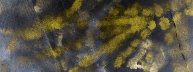 Hafif kravat boyası baskısı. Kova boyası. Kirli Sanatlar Pankartı. Gri Kova Boya Fırçası. Parlayan Geleneksel Boyalı. Siyah Fırçalı Doku. Kağıt Fırçası Kağıt. Lüks Kaba Sanat Yazıcısı.