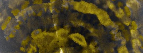 Gri kravat boyası Grunge. Suluboya boya fırçası. Kirli Sanatlar Tarzı. Hafif Kova Fırçası. Parlayan Graffiti Tarzı. Gri Fırça Boyası. Güneşli Fırçalı İpek. Sarı Graffiti Biçimi.