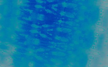 Blur kravat boyası Grunge. Kova boyası. Kirli Sanatlar Pankartı. Aqua Aquarelle Boyası. Hafif Graffiti Grunge. Aqua Fırçalı Kağıt. Bulut Fırçası Boyası. Okyanus Grafiksel Boyalı.