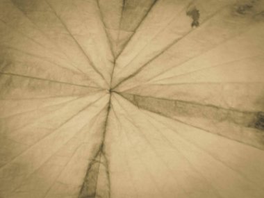 Sıcak Eski Kağıt Arkaplan. Bej Kova Fırçası. Krem rengi parşömen. Gri, sıcak el yapımı tuval. Yeşil Tan Kağıt Doku. Kahverengi Koyu Sarı Eski Parşömen. Krem Düz Tablo.