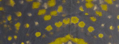 Lüks kravat boyası Batik. Suluboya boya. Kirli Sanatlar Boyası. Altın suluboya mürekkep. Güneşli Grafik Boyalı. Sarı Yağ Mürekkebi. Parlak Fırça Boyası. Geleneksel Altın Boyalı.