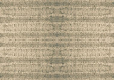 Sepia Kumaş Kağıt. Beyaz Kahverengi Soyut Yazı. Eski Boyalı Kirli Sanat. Bej Graffiti Tarzı. Siyah Gri Kağıt Boyası. Gri Soluk Etnik Motif. Gri Bej Gri Kravat Boyası Çizgileri.