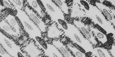 Beyaz Zanaat Malzemesi. Grunge Kova Boyası. Görünmez Sanat Kanvası. Yaşlı Graffiti Grunge. Siyah Leke Yağ Mürekkebi. Soluk Kağıt. Edepsiz Sanat Efekti. Hasarlı Bağlantı Boya Sanatı.