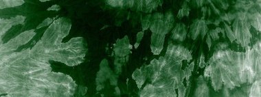 Yeşil Sanatsal Kravat Boyası. Suluboya boya. Kirli Arkaplan. Su Kova Fırçası. Taze Grafik Boyalı. Görüntü Fırçalı Malzeme. Eko fırçalı doku. Eko Graffiti Grunge. 