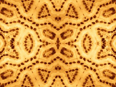 Ochre Geometric Pürüzsüz. Dye Batik 'i bağla. Sarı Soyut Suluboya. Yanmış suluboya boya. Deri Kağıt Boyası. Altın Geleneksel Sanat. Güneşli Fırça Boyası. Hayvan Efekti Grunge.