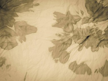 Yeşil Vintage Kağıt Sancak. Kahverengi Kova deseni. Altın Krep Kirli Sanat Boşluğu. Sıcak Eski Kağıt Sancak. Krep Kırsal Parşömen. Krem rengi, eski, sıcak arka plan. Solgun Kırsal Hazine.