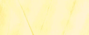 Beyaz Sanatsal Kravat Boyası. Suluboya mürekkep. Kirli Arkaplan. Citrus Suluboya Baskı. Geleneksel Beyaz Boyalı. Limon Fırçası İpek. Parlak Fırçalı Kağıt. Hafif Modern Boyalı. 