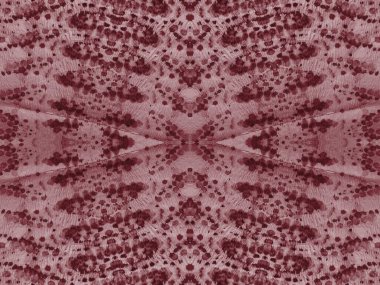 Karanlık Etnik Süsleme. Şarap suluboya mürekkebi. Rose Kirli Arkaplan. Kestane rengi kravat boyası Grunge. Karanlık Geleneksel Boyalı. Kan fırçalı kağıt. Beyaz Kusursuz Yapı. Mercan Fırçalı İpek.