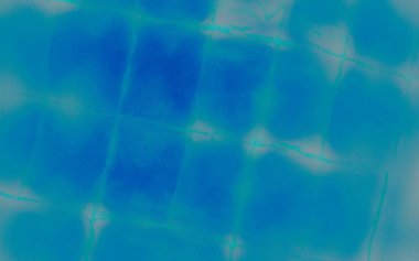 Görüntü Yaratıcı Kravat Boyası. Suluboya mürekkep. Kirli Sanatlar Pankartı. Aqua Suluboya Boya. Bulut Geleneksel Boyası. Grunge Fırçalanmış Malzeme. Sunny Fırça Kağıdı. Kar Katı Sanat YazıcıComment. 