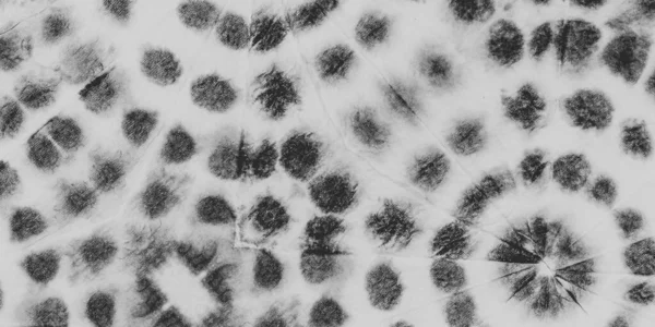 Siyah Şablon El Sanatları. Beyazlatıcı Soyut Desen. Bulanık Grungy Dirt. Eski Geleneksel Sanat. Beyaz aşınmış mürekkep ipeği. Duvar Şablonu Kağıdı. Sanatsal Pislik. Bulanık Etnik Bağlantı Boyası.