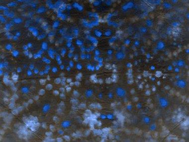 Mavi kravat boyama sanatı. Suluboya mürekkep. Sanatsal Kirli Kanva. Beyaz suluboya baskı. Beyaz Graffiti Grunge. Deniz Fırçası Malzemeleri. Fırçalanmış malzeme. Mavi Graffiti Grunge.