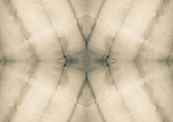 Grau Zerknitterte Form Weißes Sepia Abstraktes Aquarell Brown Dirty Background — Stockfoto
