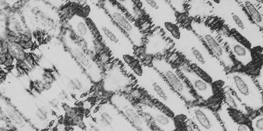 Siyah Kumaş elementi. Duman Kova Boyası. Gri Kirli Sanat Kanvası. Eski modern Grunge. Beyaz Çimento Kağıt Boyası. Gri Antika Malzeme. Dağınık suluboya. Klasik Etnik Boyalı Sanat.