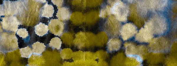 그레이 페인트 아쿠아 페인트 전통적으로 종이로 제작되었다 금박을 브러시 페인트 — 스톡 사진