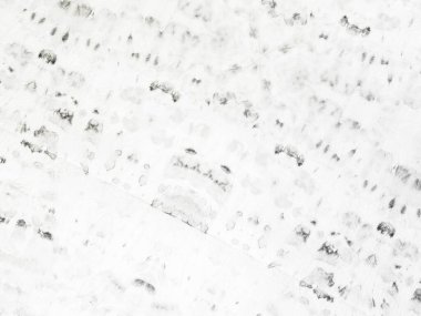 Beyaz Sade Buz. Gri Kağıt Çizimi. Sade Kirli Tuvaller. Beyaz Vintage Soyut Boya. Doku Yazdırma Doğası. Soyut White Plain. Çizgili Eski Yüzey. Kabataslak Çizim Arkaplanı. Kirli Boyalı Sıçrayan