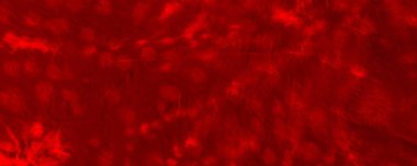 Red Neon Tie Dye Design. Red Dark Tie Dye Marker. Red Bloodstain Illustration Bloody Water Color Sunlight. Plain Artistic Glow. Empty Aggressive Concept. Hot Gradient Print. Colour Halloween Banner.