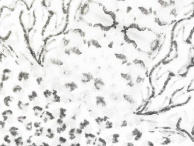 Beyaz Kirli Boya. Gri Çizgili Çizgi Çizgisi. Soyut Işık Sancağı. Beyaz Vintage Doku Lekesi. Basit Parlak Tuval. Soyut Fırça Tanesi. Kağıt Soluk Moda. Sert Suluboya. Düz Eski Sıçrama