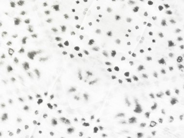 Beyaz Kağıt Bg. Gri Çizgili Kirli Çizgi. Soyut Beyaz Kağıt. Basit Kirli Tuvaller. Çizgili Soluk Doku. Beyaz Vintage Doku Fırçası. Soyut Işık Doğası. Sert Suluboya. Düz Serin Arkaplan