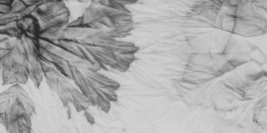 Gri Soyut Leke. Suluboya Etkisini Yıka. Gri renkli akrilik işareti. Mürekkep Soyut Şekil. Kurnaz Kova Sıçrayan. Islak Soyut Su Fırçası. Renkli Yumuşak Doğa. Mürekkep Sıçratma Deseni