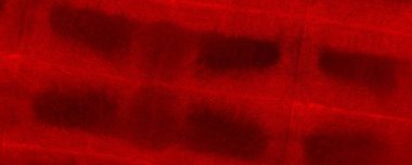 Red Dark Tie Dye Grunge. Red Hand Tye Dye Modern. Solid Gradient Dirt. Colour Explosion Banner. Creepy Traditional Greeting. Red Bloodstain Illustration Empty Spiritual Pattern. Art Gradient China.