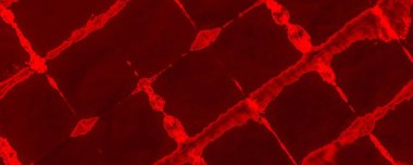 Red Neon Tie Dye Grunge. Red Hand Allover Design. Red Transparent Illustration Art Gradient Ombre. Plain Spiritual Spatter. Colour Halloween Banner. Empty Gradient Dirt. Grungy Contemporary Sunlight.