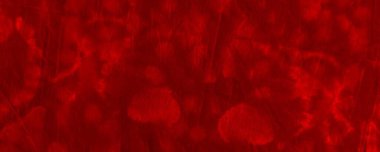 Red Dark Tie Dye Banner. Red Boho Dynamic Motion. Plain Spiritual Element. Colour Wallpaper Grunge. Ornate Water Color Violence. Pop Abstract Decor. Red Bloodstain Illustration Fiery Flourish Silk.