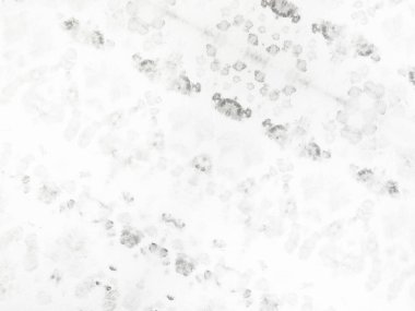 Gri Dirty Round. Beyaz Çizgi Basit Çizgi. Çizgili Eski Yüzey. Düz Parlak Sancak. Soyut Beyaz Parlak. Beyaz Vintage Soyut Yazıcı. Doku Yazdırma Kışı. Kabataslak Çizim Arkaplanı. Kağıt Boyalı Arkaplan