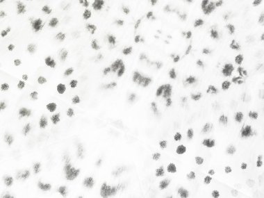 Gri Sade Buz. Beyaz Çizgili Kirli Çizgi. Doku Kirli Çizgili. Çizgili Yumuşak Doku. Doku Baskı Tablosu. Gri Vintage Soyut Boya. Kağıt Parlak Sancak. Kabataslak Çizim Arkaplanı. Basit Boyalı Arkaplan