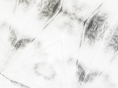 White Simple Girdap. Gri Eski Düz Çizim. Çizgili Yumuşak Yüzey. Kağıt parlayan tuval. Gri Vintage Soyut Boya. Doku Kirli Düz. Doku Hafif Çizimi. Sert Suluboya. Kirli Boyalı Sıçrayan